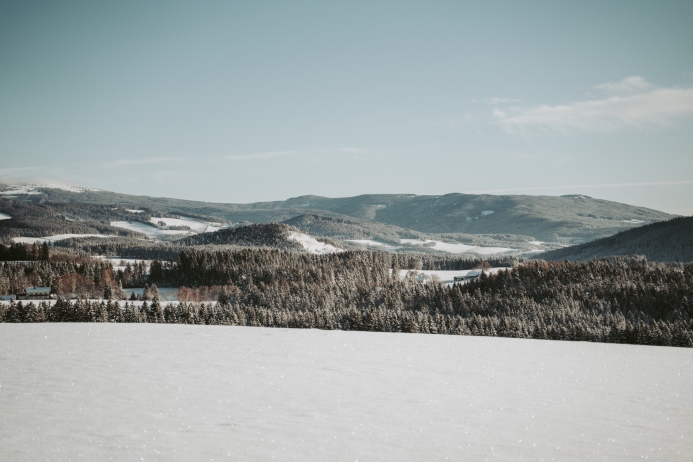Winterlandschaft Wenigzell